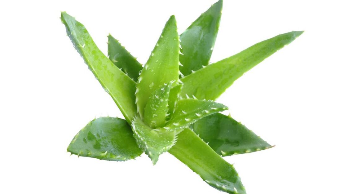 aloe v kréme Proctonic